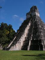 7880 Tikal